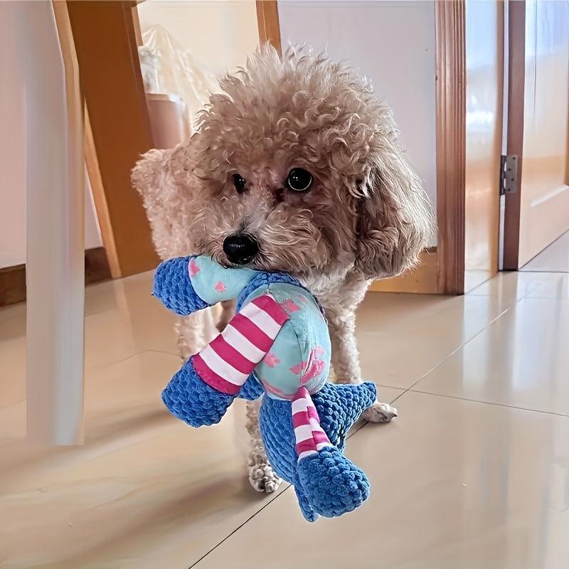 img_4105079