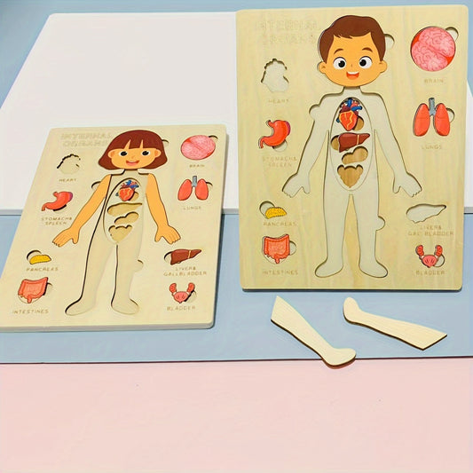 Kids' Wooden Human Body Jigsaw Puzzle Toy