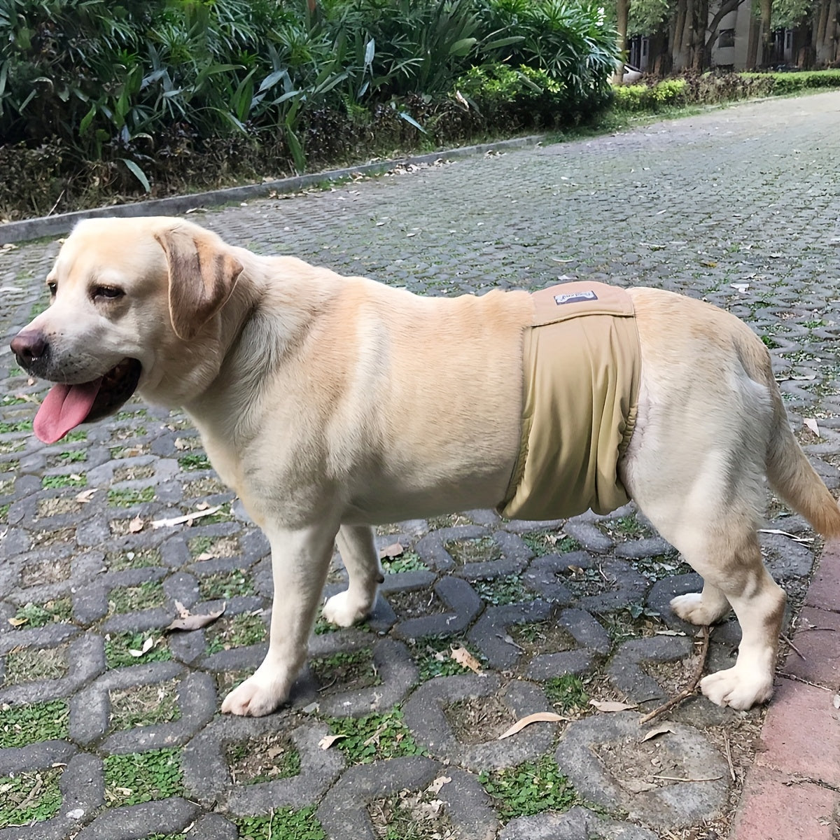 Anti Harassment Dog Diapers for Male Pets