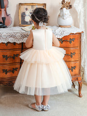 Little Girl Princess Dress