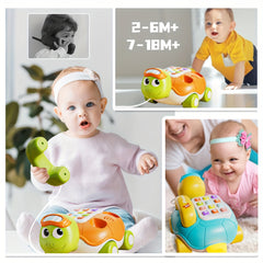 Baby Multifunctional Toy Music Turtle Telephone