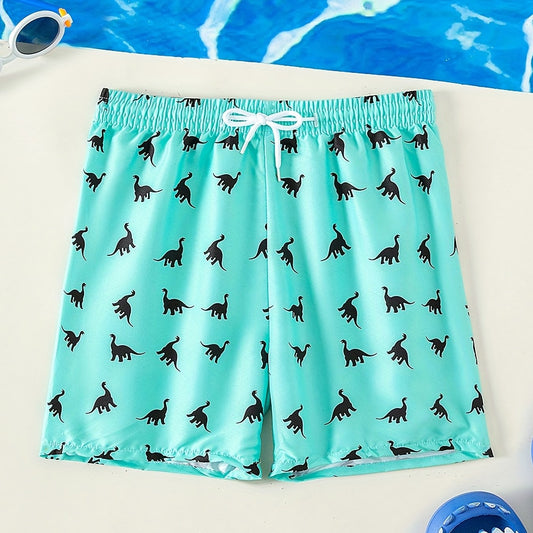 Dino Print Boy's Swim Trunks Elastic Waist Beach Shorts