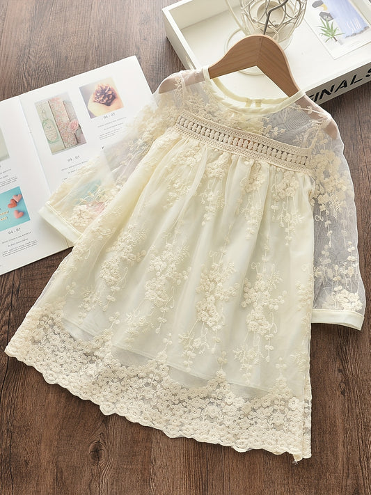 Toddlr Girls Lace Embroidered Mesh Princess Dress Kids Clothes