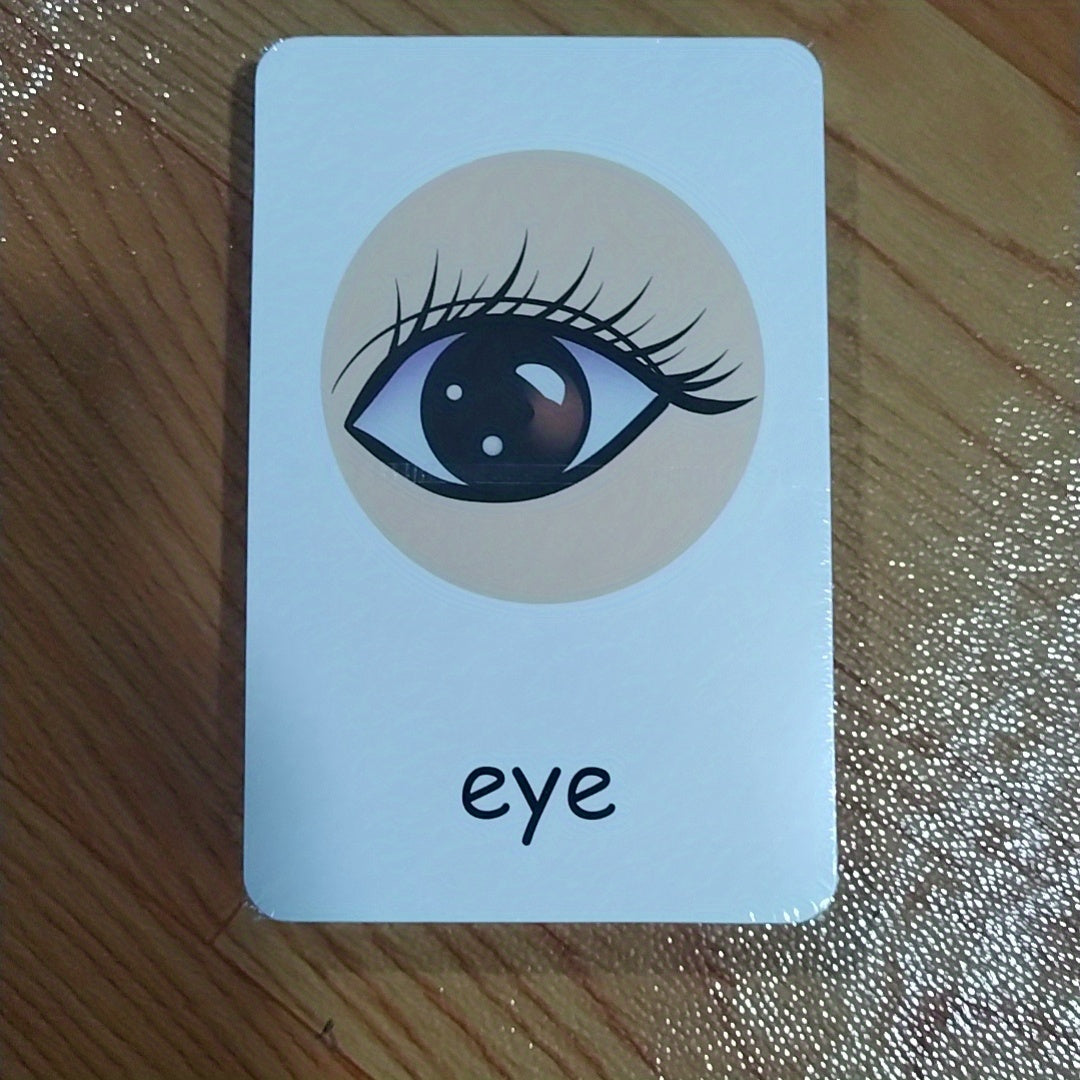 Montessori Body Part Flash Cards for Kids - Educational Toy