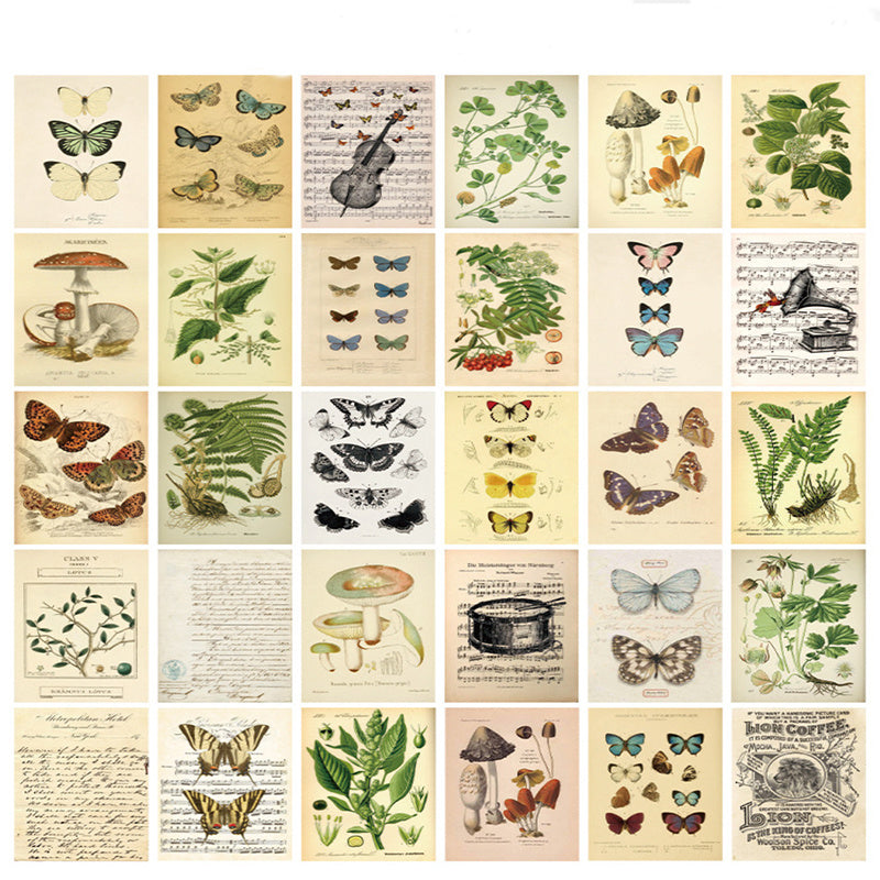 30pcs Bio Postcards Botanical Wall Stickers Room Decoration Cards 9 14