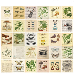 30pcs Bio Postcards Botanical Wall Stickers Room Decoration Cards 9 14