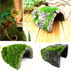 Tortoise Shelter Hide House Aquarium Decoration for Fish Tank