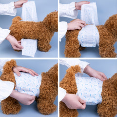 Male Dog Gentleman Diapers Pet Diapers Puppy Pants XS 14pcs S 12pcs M 10pcs