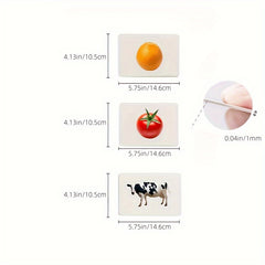 30pcs Realistic Picture Classification Cards for Language Area Teaching