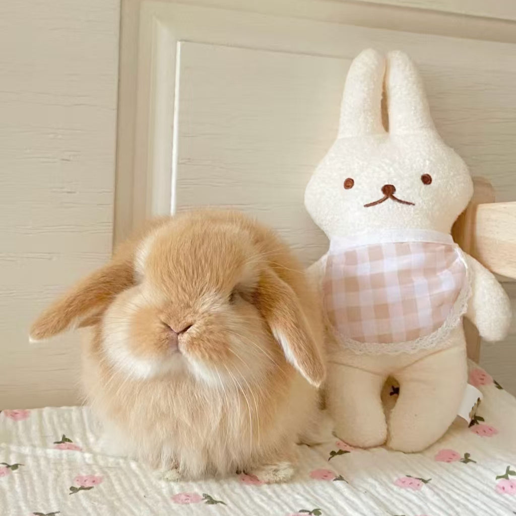 Cute Rabbit Doll with Checkered Bandage Soft Plush Animal