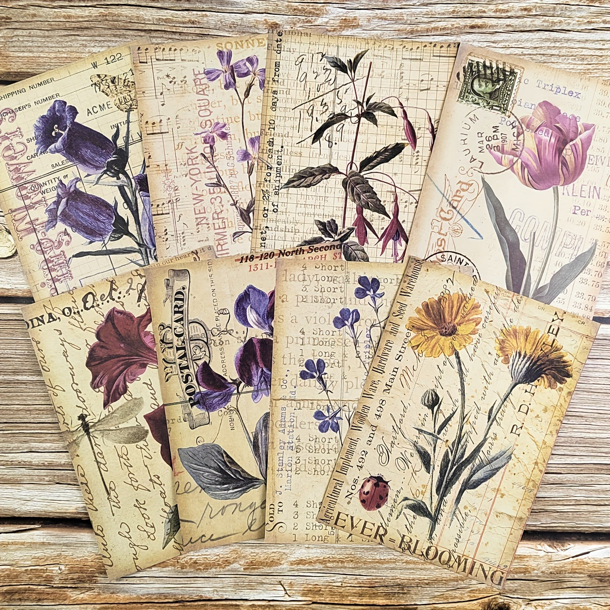 8pcs Vintage Botanical Flower Plants Nature Scrapbook Papers DIY Crafts