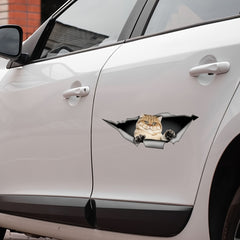 1pc Cat Car Sticker Animal Car Sticker Cartoon Decoration Sticker