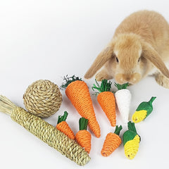 Braided Carrot Chew Toy for Hamsters and Rabbits