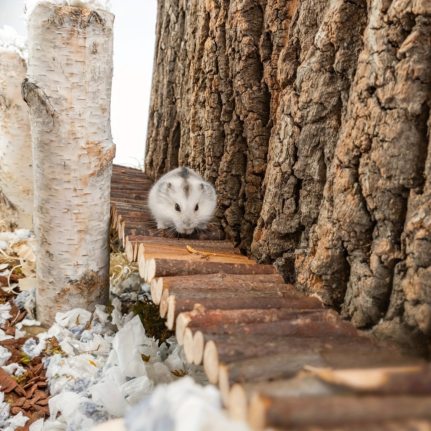 Hamster Suspension Bridge Toy - Fun Climbing Accessory for Small Pets