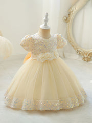 Baby Girls Flower Bowknot Decor Puff Sleeve Mesh Sequin Princess Dress