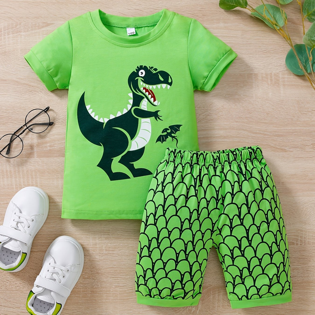 Boys Dinosaur Print T-shirt & Shorts Set