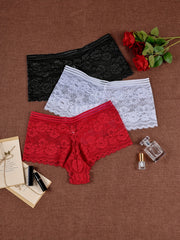 3 Pack Plus Size Panties Set Women's Plus Floral Stripe Lace Panties Set