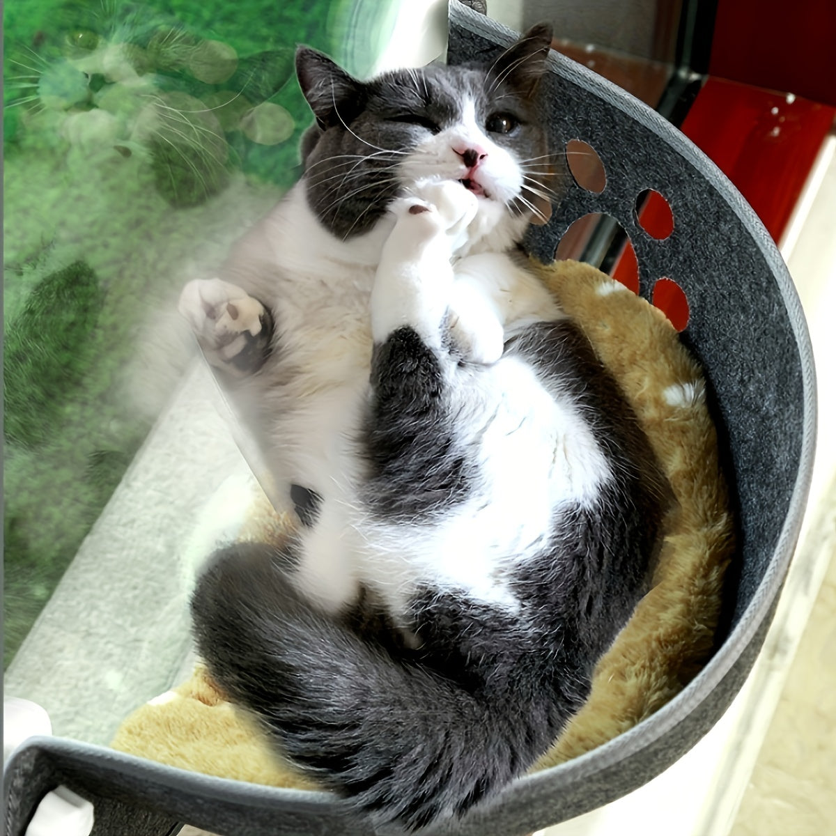 Cat Nest Hammock Window Suction Cup Cat Hanging Bed