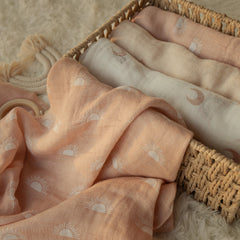 img_3984055