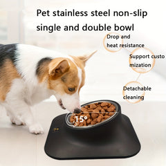 Stainless Steel Elevated Dog Bowl with Non-Slip Mat