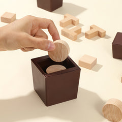 Brain Teaser Puzzle Box with 6 Building Blocks - Challenging Educational Game