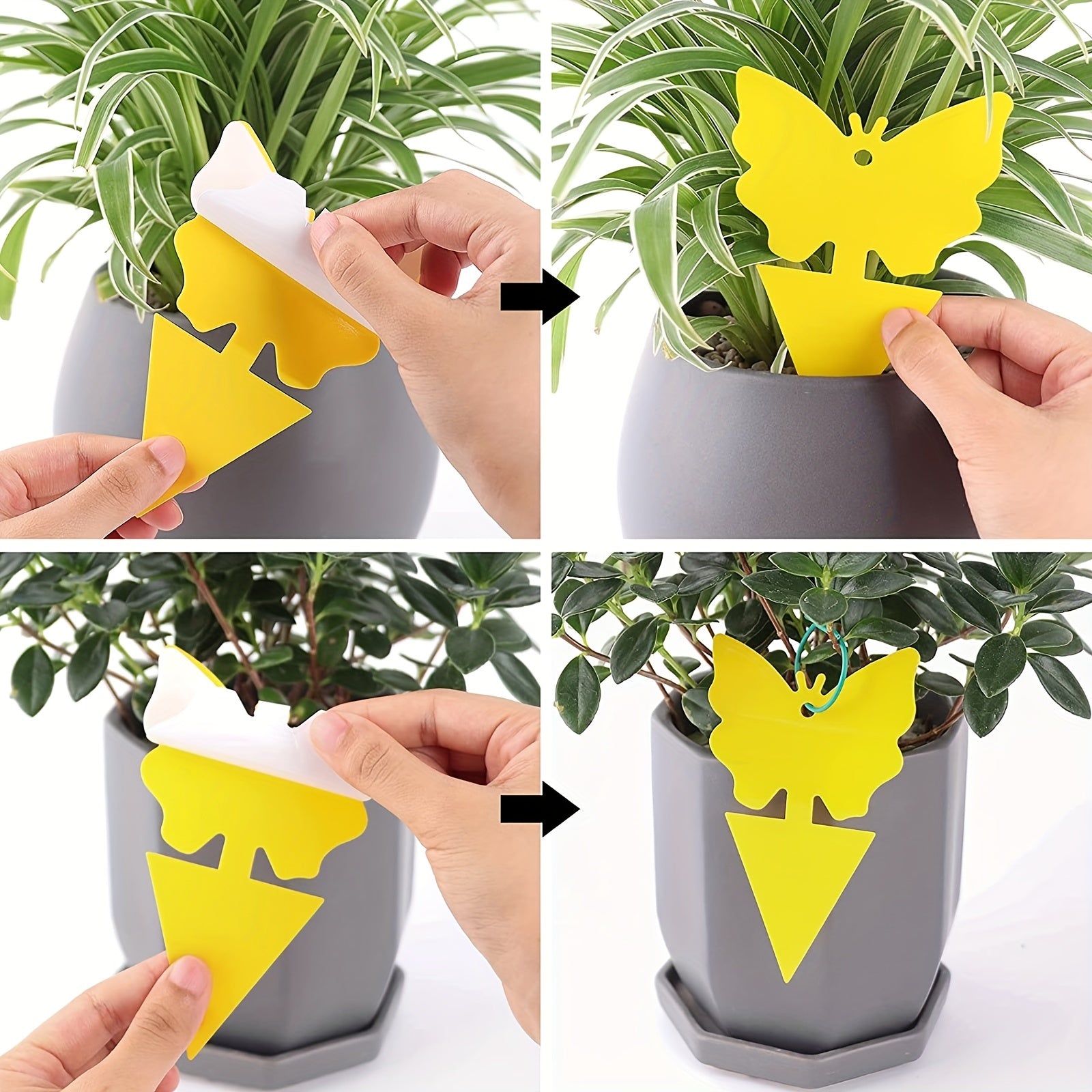 103pcs Dual-Sided Fruit Fly Trap Indoor Outdoor Catch Fungus Gnats Mosqui