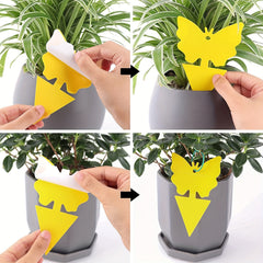 103pcs Dual-Sided Fruit Fly Trap Indoor Outdoor Catch Fungus Gnats Mosqui