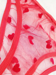  Sexy Brief Women's Plus Flocked Heart Detail Panty