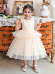 Little Girl Princess Dress