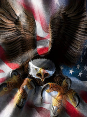 3D American Flag & Eagle Print T-shirt Kids Summer Clothes Gift Sports