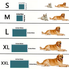 img_9919604
