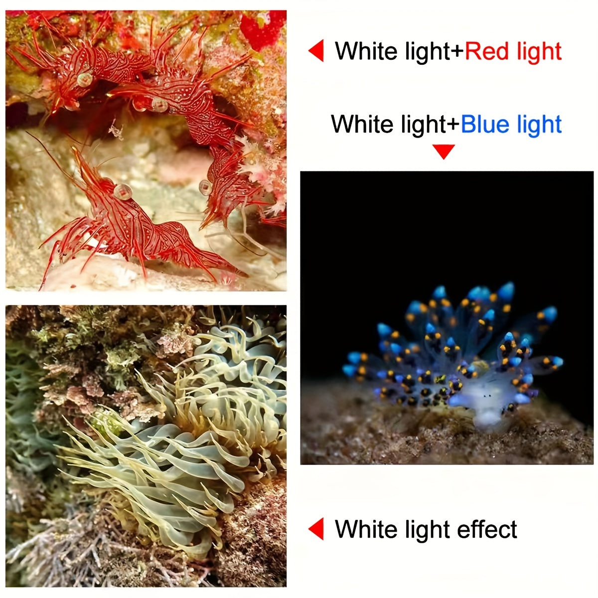10000Lm 27 LED Diving Flashlight Underwater Photography Light
