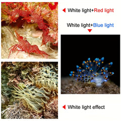 10000Lm 27 LED Diving Flashlight Underwater Photography Light