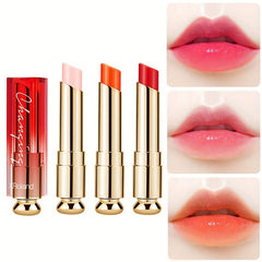 Moisturizing Long-Lasting Lipstick for Daily Lip Care