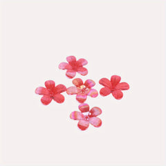 Colorful Flower Petal Jewelry Making Kit - 15pcs