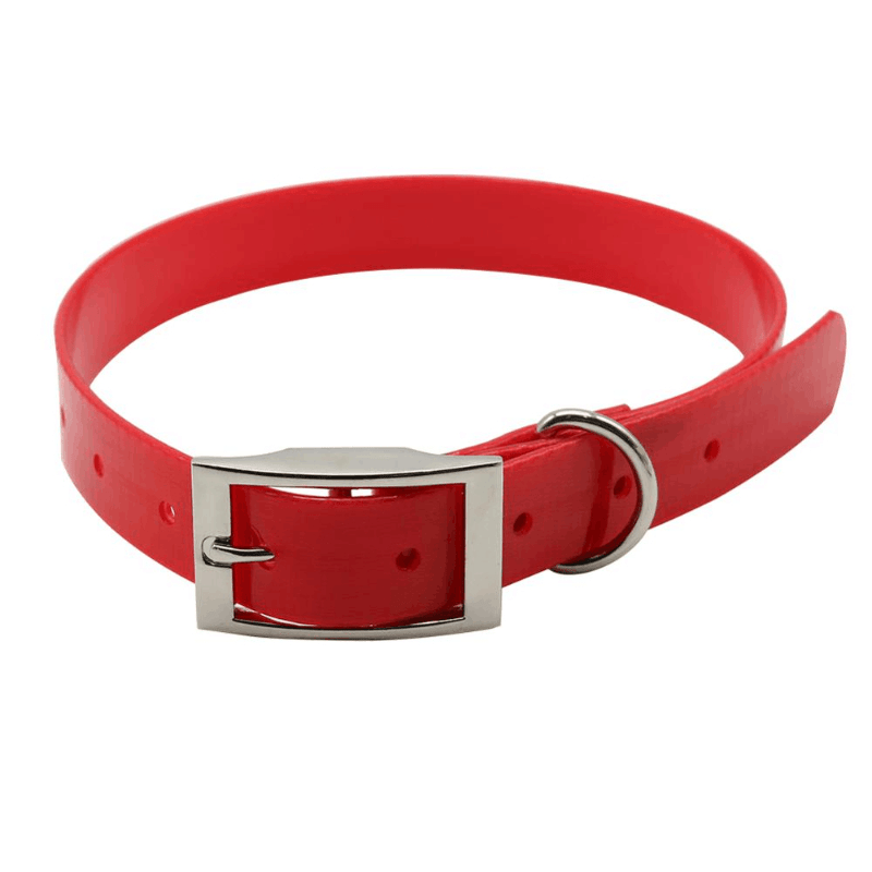 img_5540619