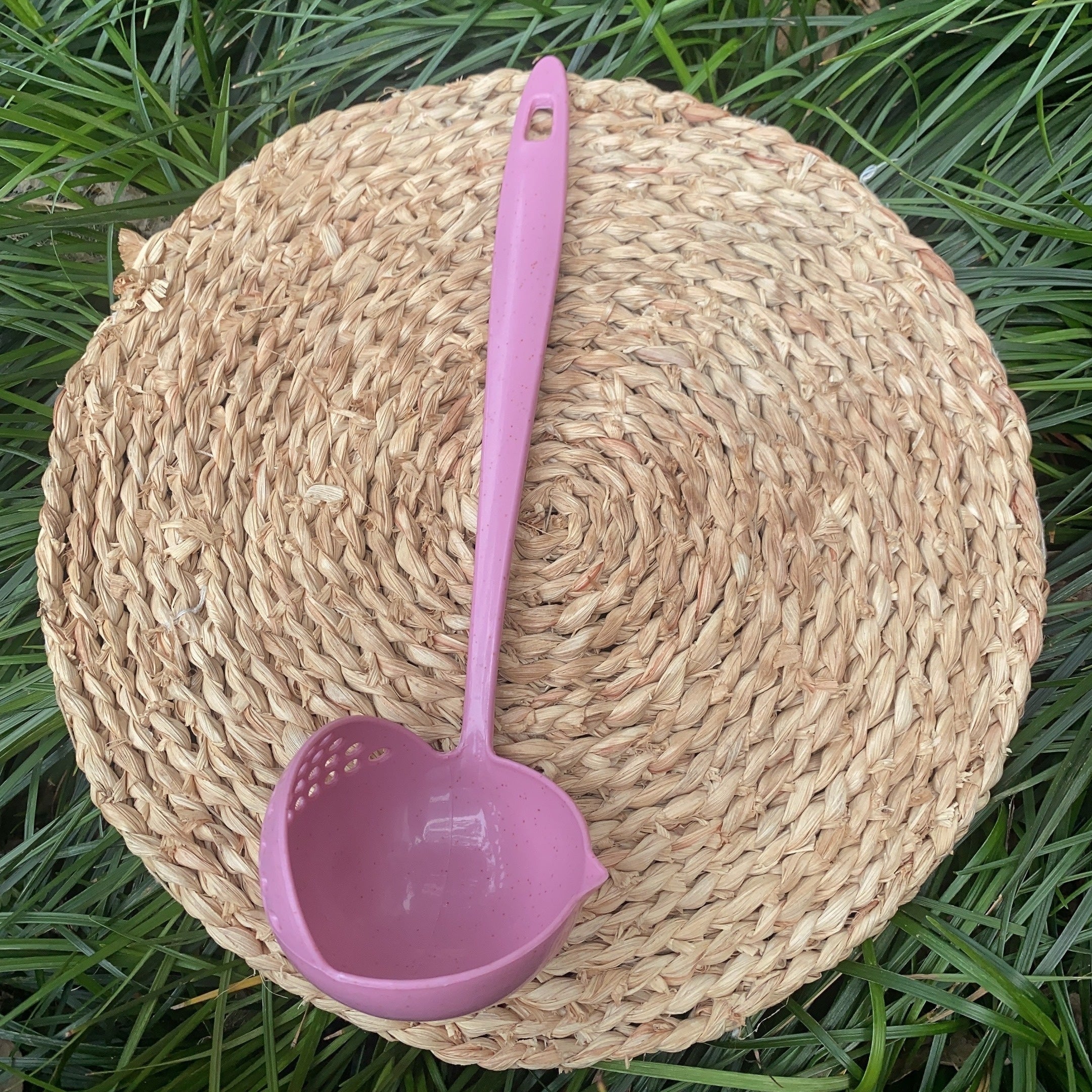 Eco-Friendly Plastic Ladle with Strainer - 5.08cm Long Handle Soup Ladle
