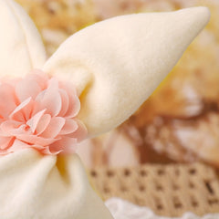 Newborn Fetal Cap Rabbit Ears Hat Photo Props