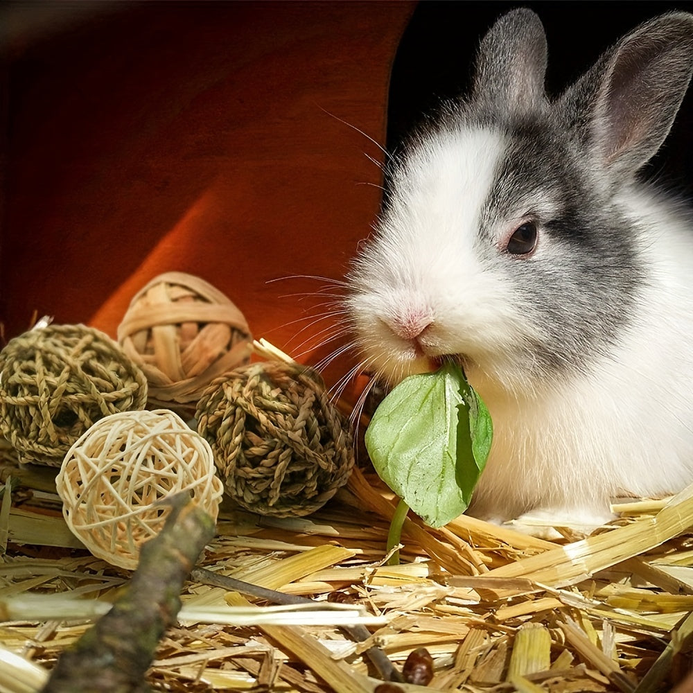 Small Animal Woven Activity Toy Promotes Play Treats Chewing