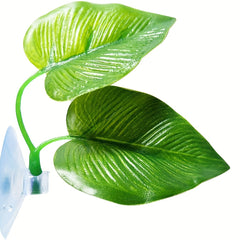 Natural Betta Fish Leaf Pad Aquarium Decor