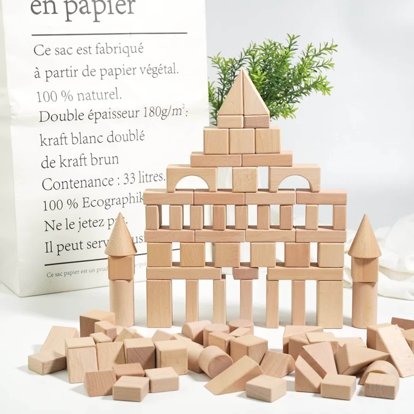 Wooden Building Blocks Various Shapes for Educational Play