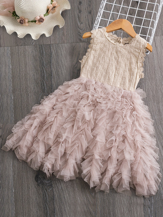 Toddler Girls Lace Flowers Embroidery Tutu Dress For Party
