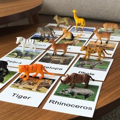 Montessori Animal Matching Card Educational Toy