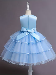 Princess Dress For Christmas Birthday & Evening Parties Sleeveless Flower Embroi