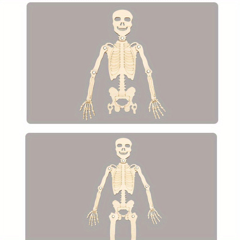 DIY Human Skeleton Assembly Puzzle Kit for Small Production