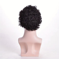 Men's Synthetic Curly Short Hair Natural Wig