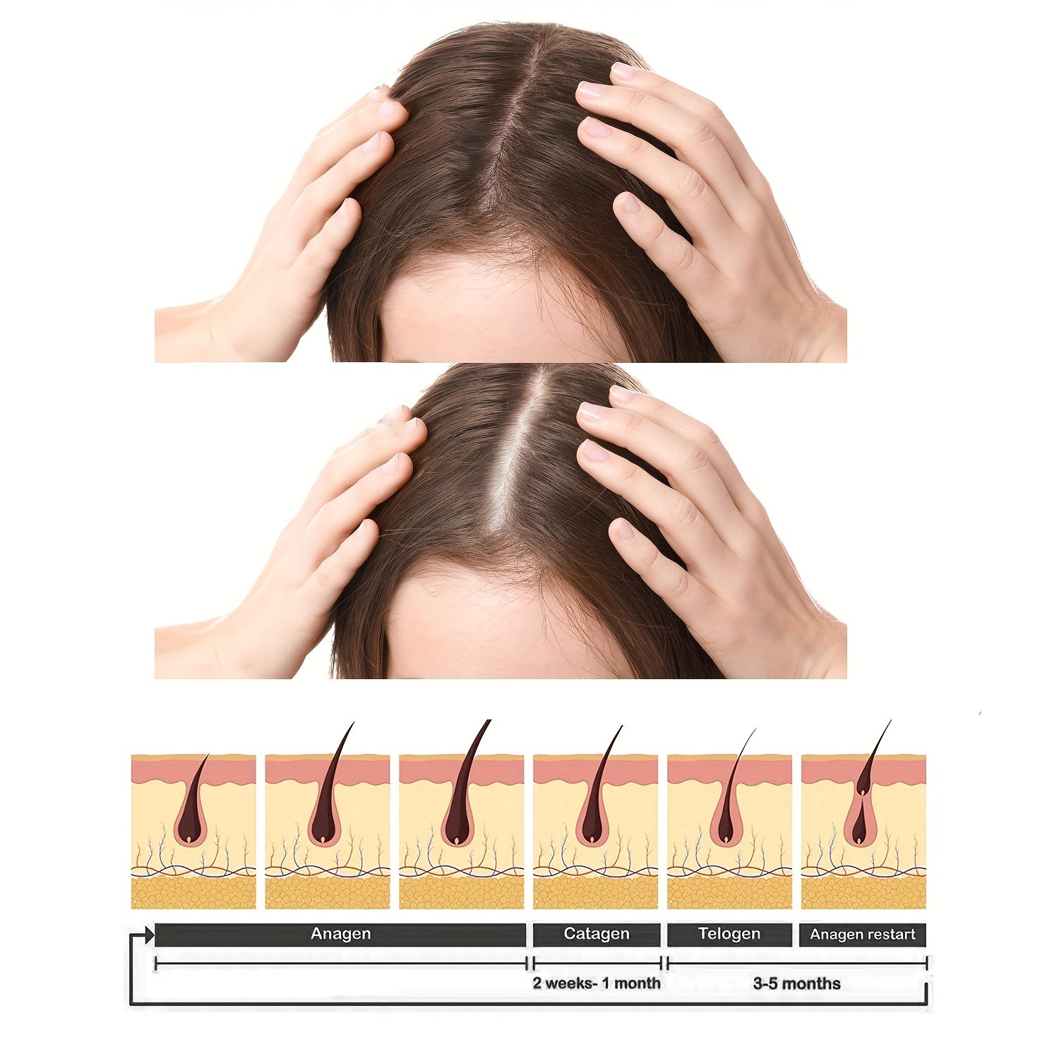 Hydrating Hair Cream with Vitamins Biotin Collagen Coconut - Repair Frizzy Hair