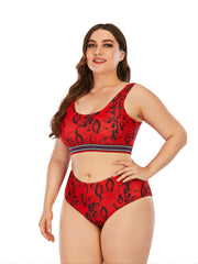 Leopard Print High Waist Bikini Set Women's Plus Size Swimsuit Set