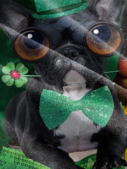 St Patrick's Dog 3D Print Boy's T-shirt Kids Casual Short Sleeve