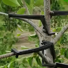 10pcs Tree Branch Spreaders for Plant Branch Fixing & Bending